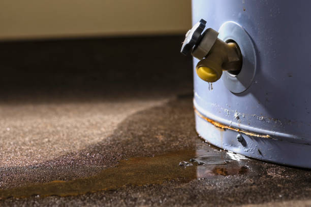 Best Mold removal after water damage  in , OK