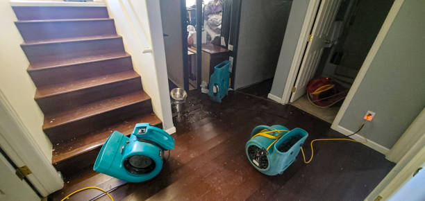 Best Fire Damage Restoration  in , OK