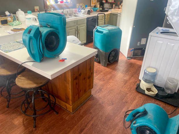 Best Residential water damage restoration  in , OK