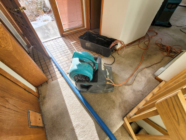 Best Basement water damage restoration  in , OK