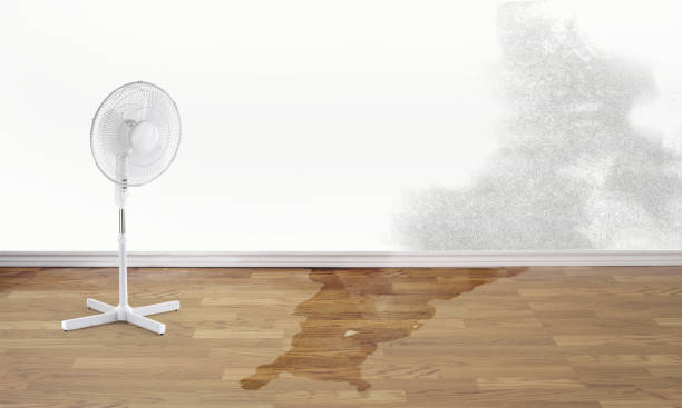Best Water damage cleanup near me  in , OK