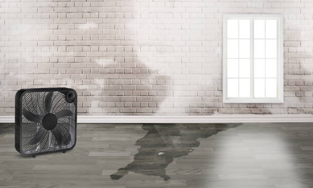 Best Emergency water damage restoration  in , OK