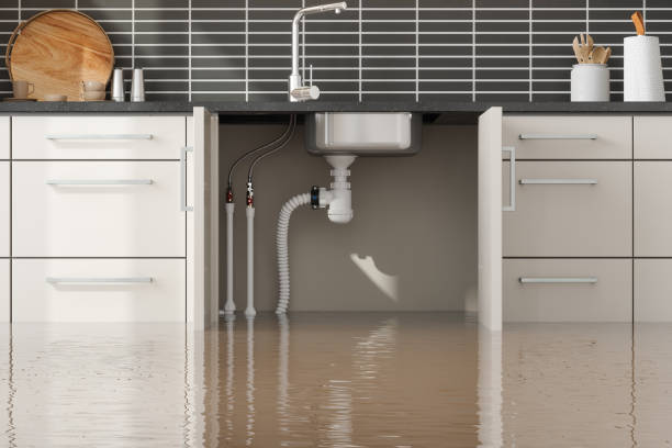 Best Sewage cleanup and water damage restoration  in , OK