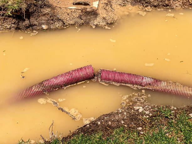Best Flood damage cleanup  in , OK