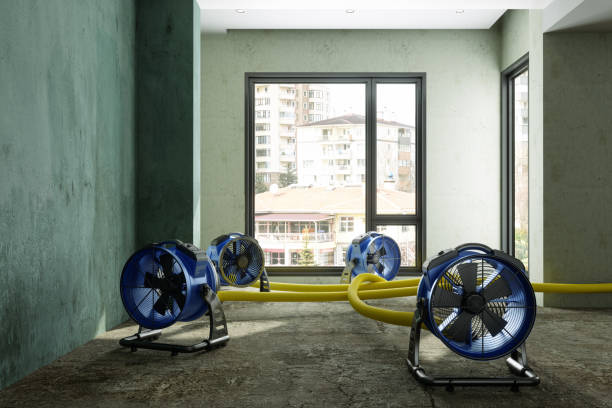 Best Ceiling water damage repair  in , OK