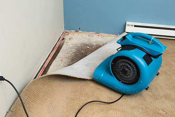 Best Flood restoration services  in , OK